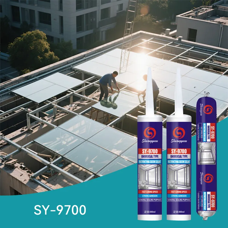 SY-9700-Soft specification 1